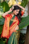 BioEarths Women’s Banarsi Silk With Gold-Toned Zari Jacquard Work Saree 4